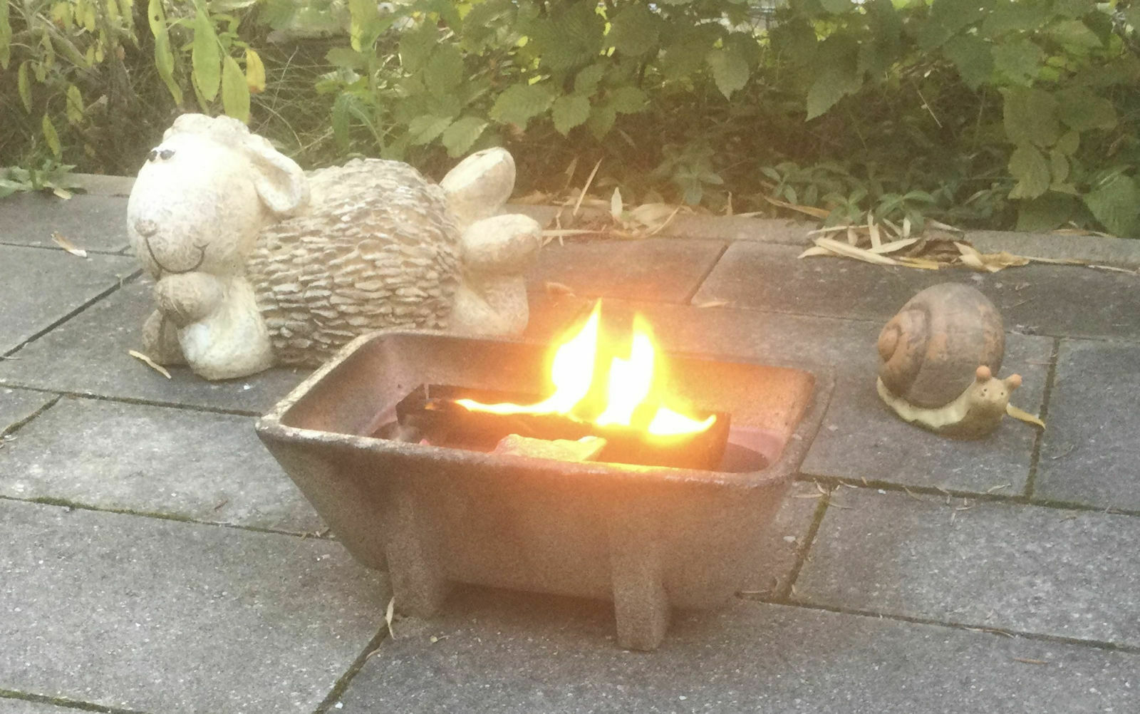 270cdbe9-3616-46db-917f-bd601c621258