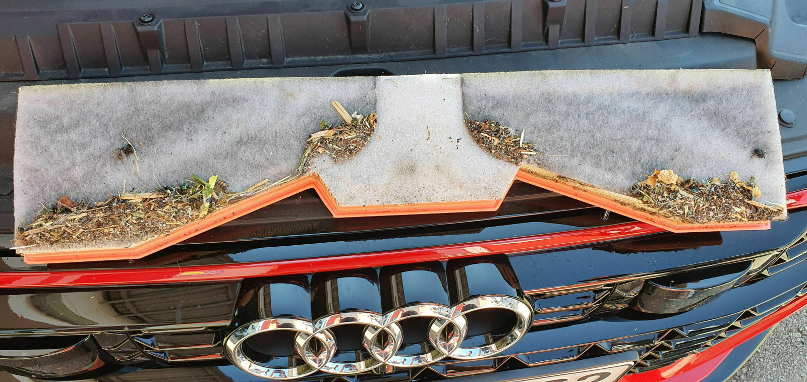 Alle Infos und Details zum RS6