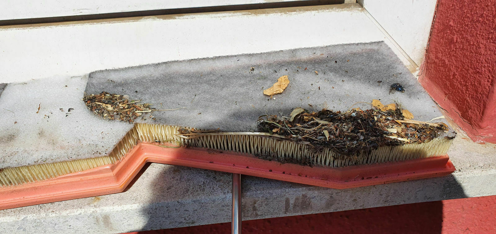 Alle Infos und Details zum RS6