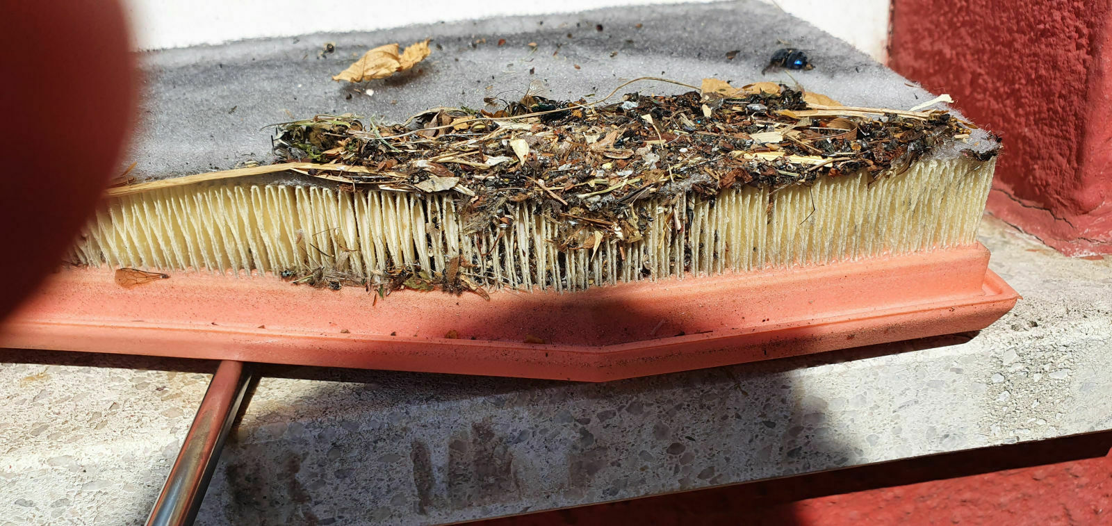 Alle Infos und Details zum RS6