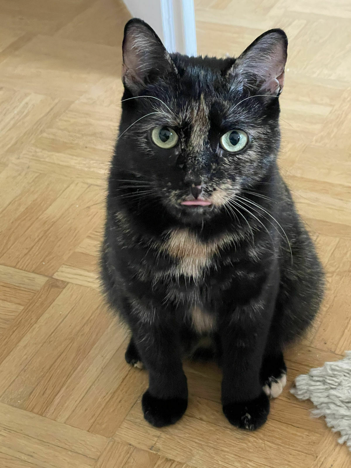 1af7fcd5-9101-4337-bce4-562e08282496