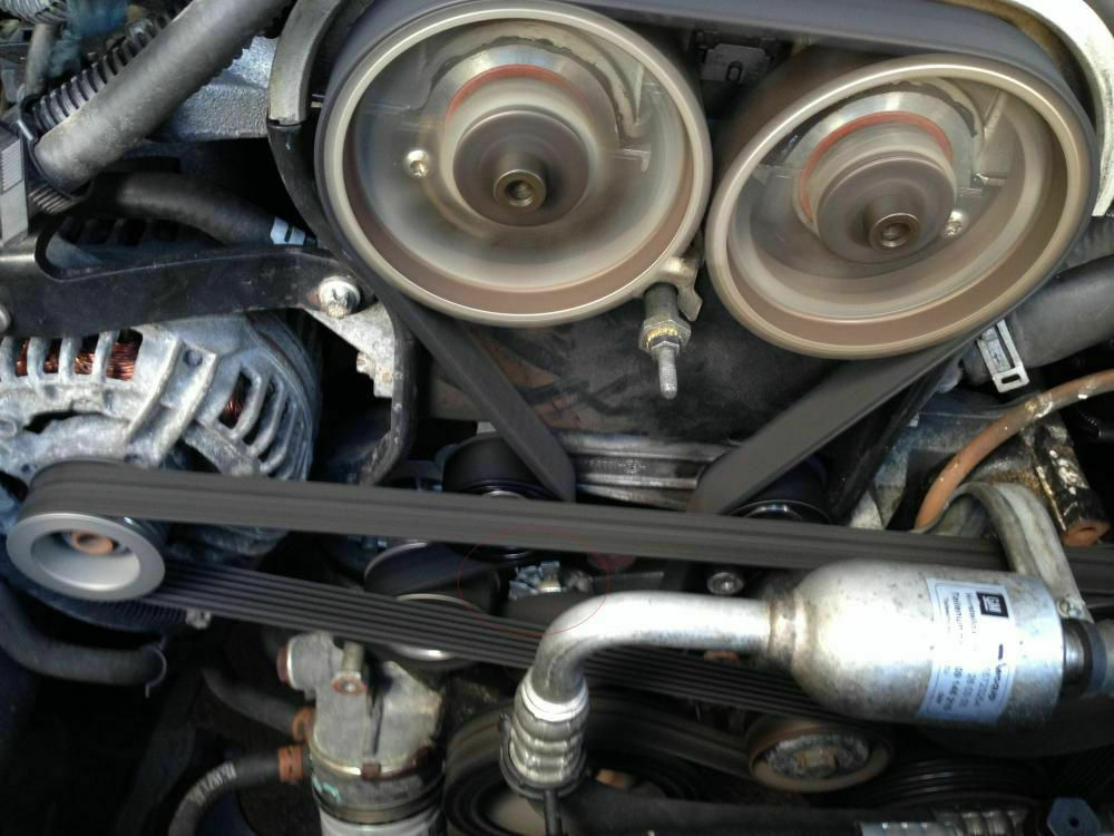 Was habt Ihr heute alles Gutes für Euren Omega & Senator getan?