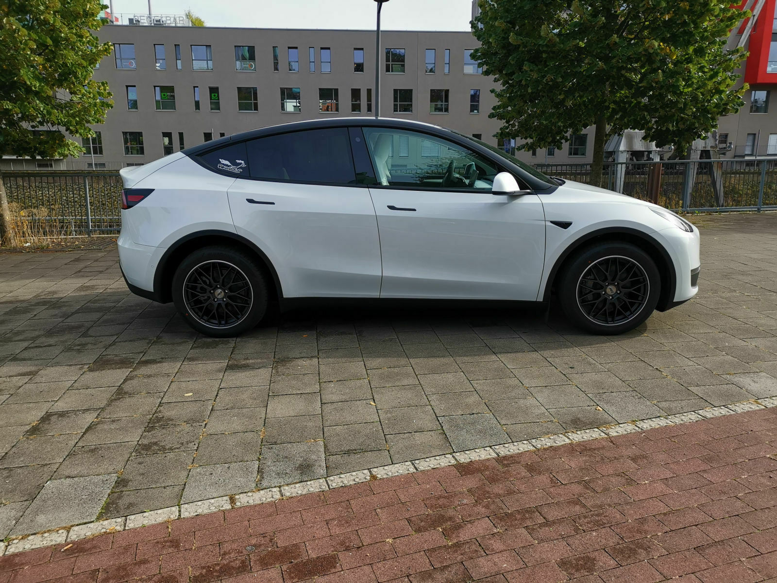Mein Model 3/Y ist da! - Vorstellungsthread