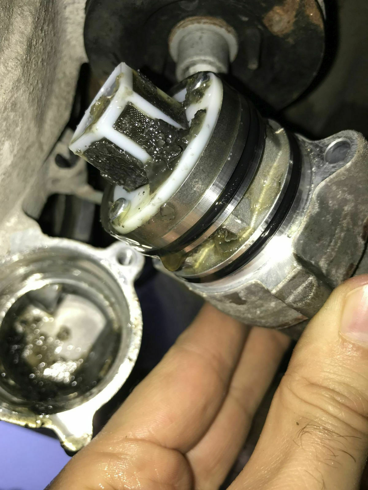 Der "Kurze Frage - kurze Antwort" Thread