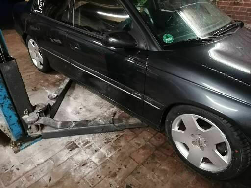 Was habt Ihr heute alles Gutes für Euren Omega & Senator getan?