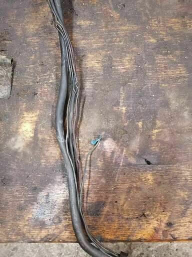 Was habt Ihr heute alles Gutes für Euren Omega & Senator getan?