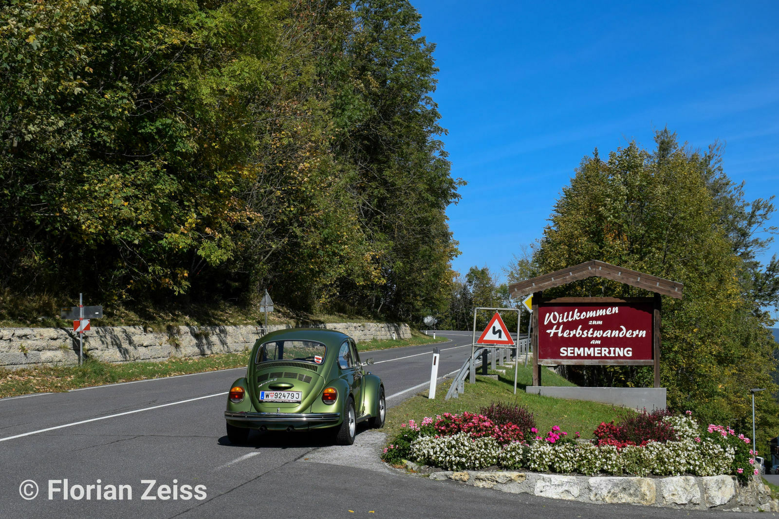 Eure schönsten Käfer-Fotos