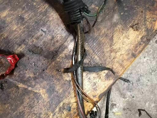 Was habt Ihr heute alles Gutes für Euren Omega & Senator getan?