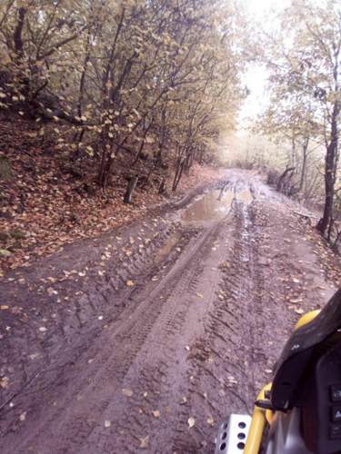 Offizielle Straße mit Nummer