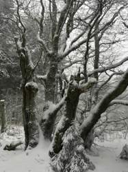 F0a1acfe-5c33-4e00-84e8-4db6b8a964ee