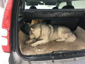 6a991dd7-bb4d-4070-b77e-66e6cf8848ea