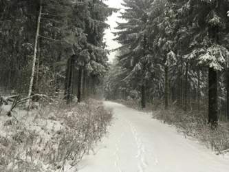 6c5db86f-87c3-44d5-ac06-8afa0dc99411