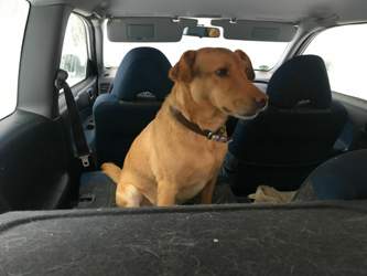 3713aced-5e36-4c0a-95e2-a2144c91d599