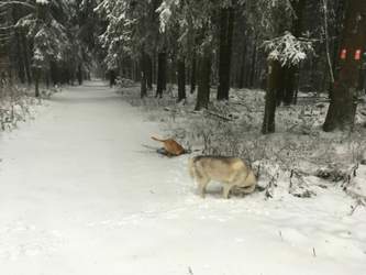 67365e80-e840-4803-a71a-ad4f2b3e44ac