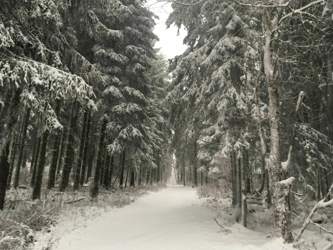 Feda9070-9a1b-4141-b1ce-4c4276781a51