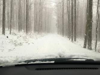 6171e497-7598-47c2-91d3-caad853b986f