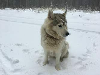 F6d45cb8-ed5d-4cef-8cec-b6a406e3c4db