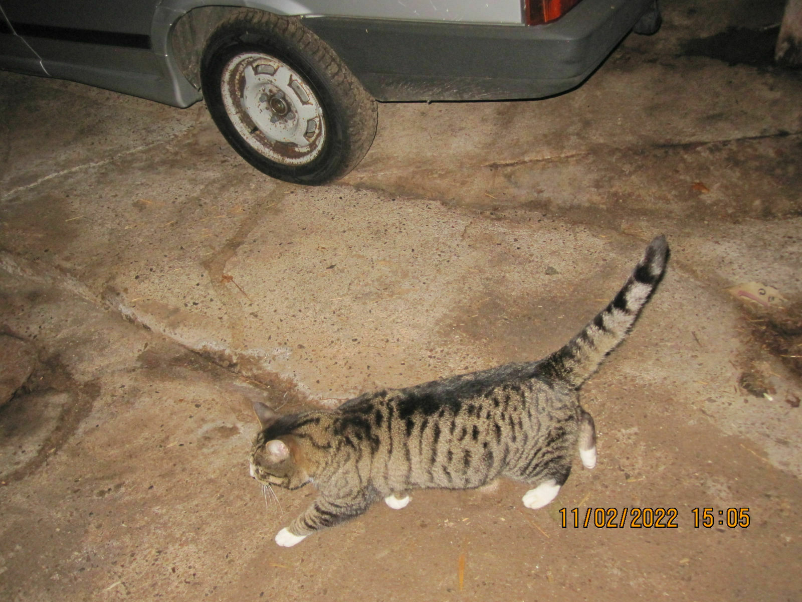 Der Schrottplatz - Spiegelsymmetrisch des Showrooms