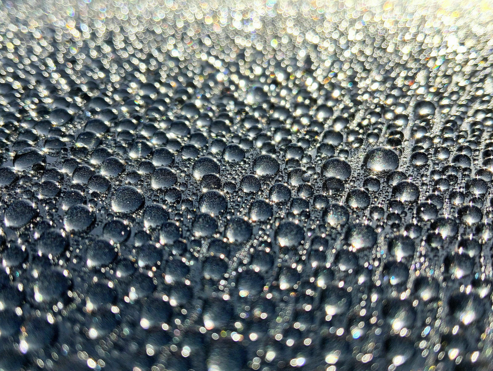 Wachs- & Versiegelungs Guide - Was passt zu mir?