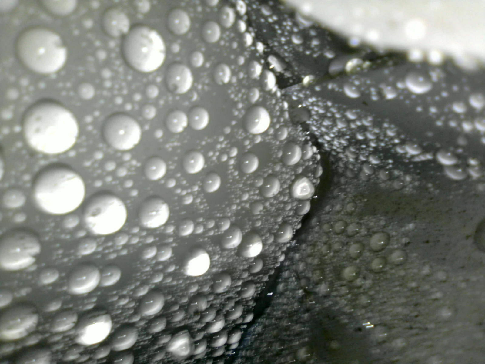 Wassereintritt im Fußraum des Beifahrers / an der Beifahrertür