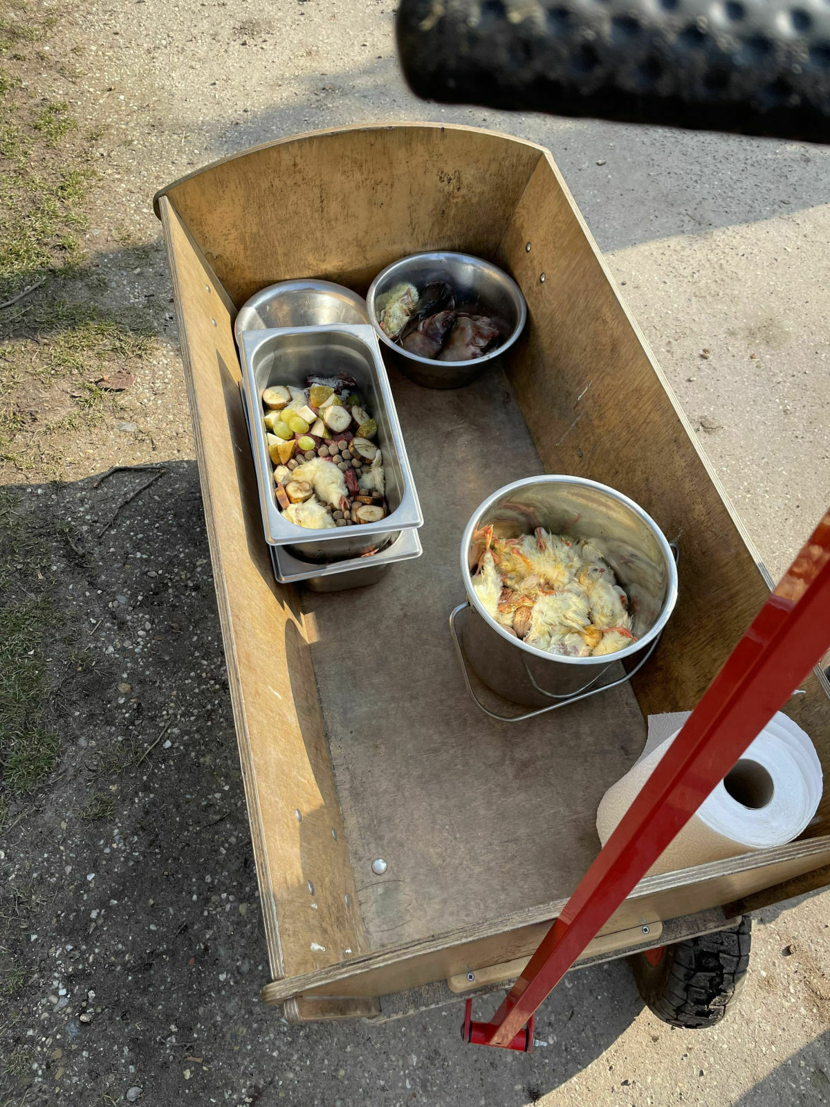 d65457c7-9d80-4d99-a0cb-6cedf336ab5b