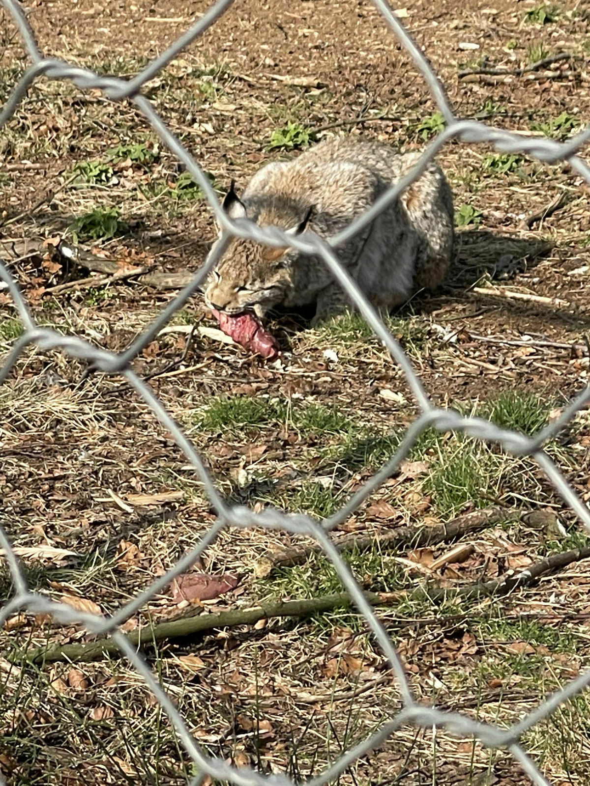 9114ed42-b434-4a41-b5c4-f6b7db92e9b0