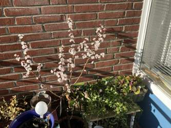 645f8380-10f9-4507-a99d-3fa147dc6129