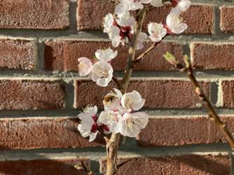 C4b01d0c-dd7a-4663-bd19-daa6a227afce