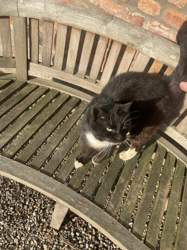 946229e4-2b08-4df3-a92b-8db459db079c