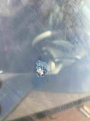 4c5f9fca-40e0-4093-b821-b568f2d09f17