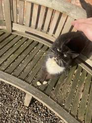 Ed77cf4d-2bb0-4cde-bf8b-0d7a62b6b2e6