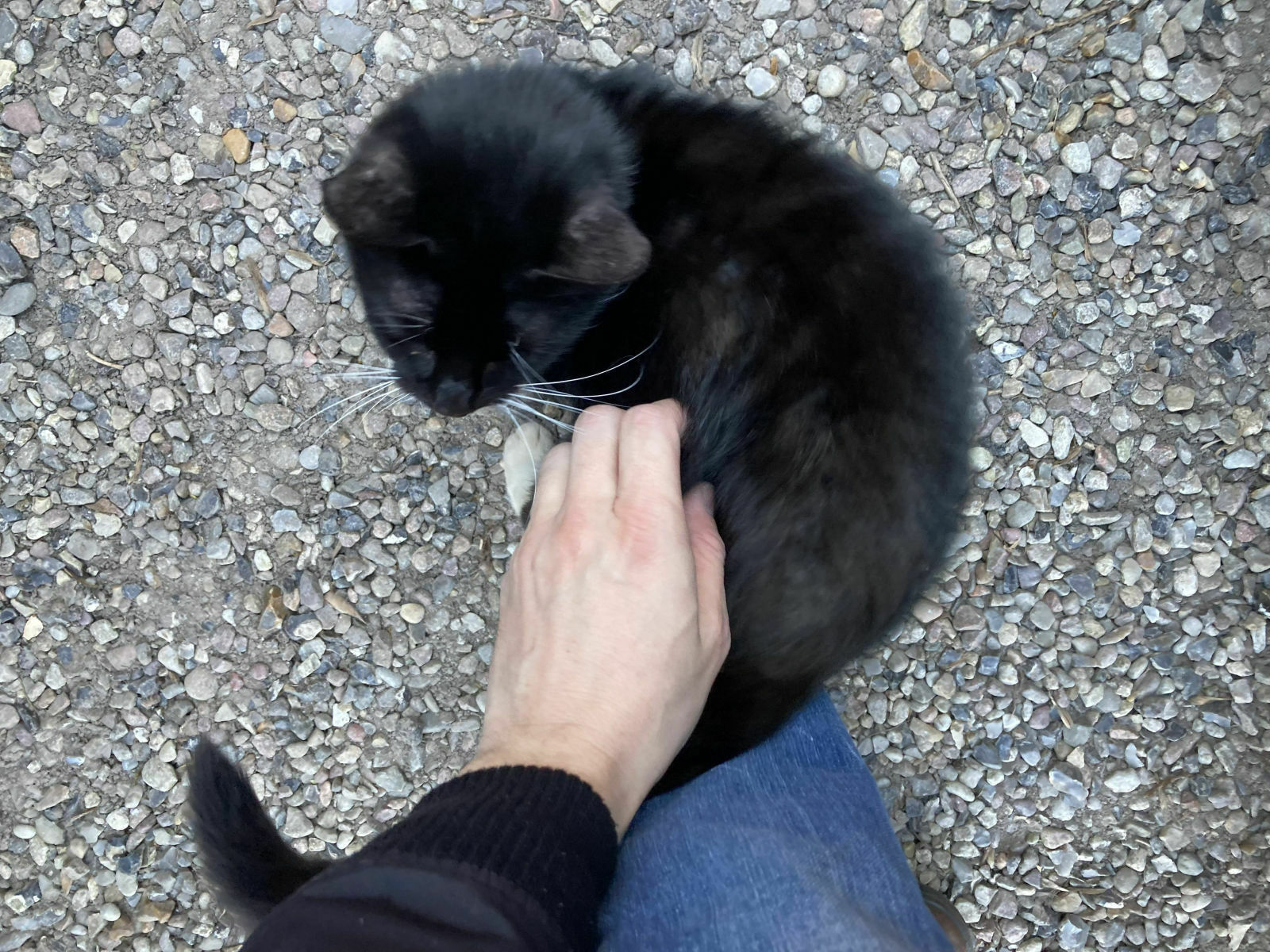 06df49c9-9a9c-437e-8bea-4dd73e2f00f3