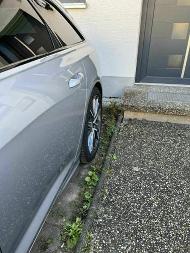 A8dc1843-6e34-4186-b2f8-a2eef9708f1e