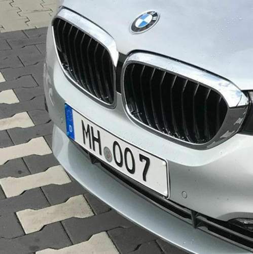 Kennzeichen-530d-klein