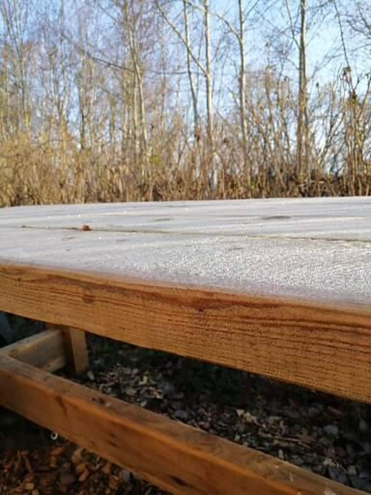 Reif auf der Platte!