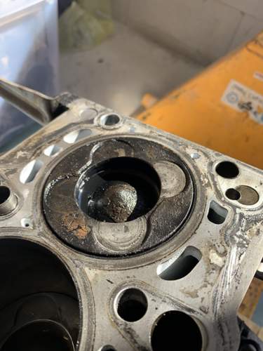 7f63e6b3-66bb-4c06-8a9e-55238ffe1006