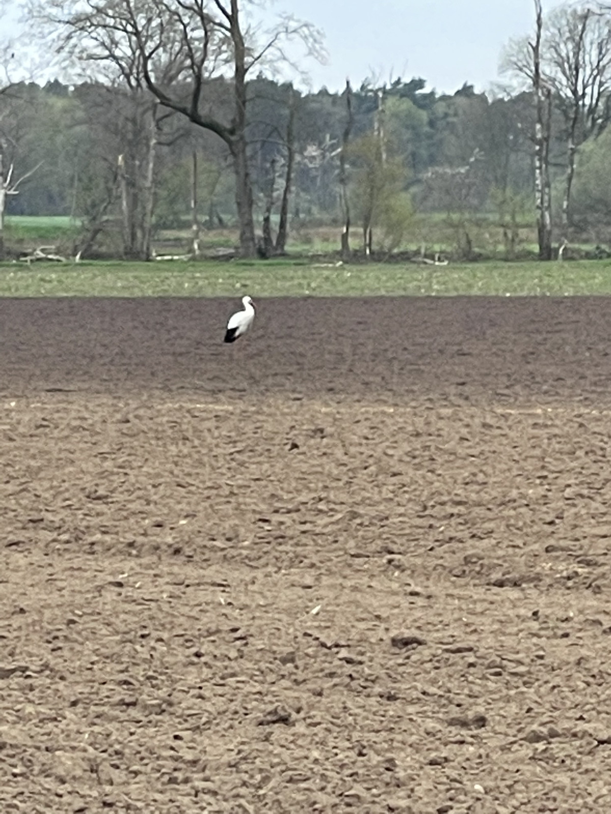 4dfc62db-c098-4e0c-9e6d-c2f0199a77c0