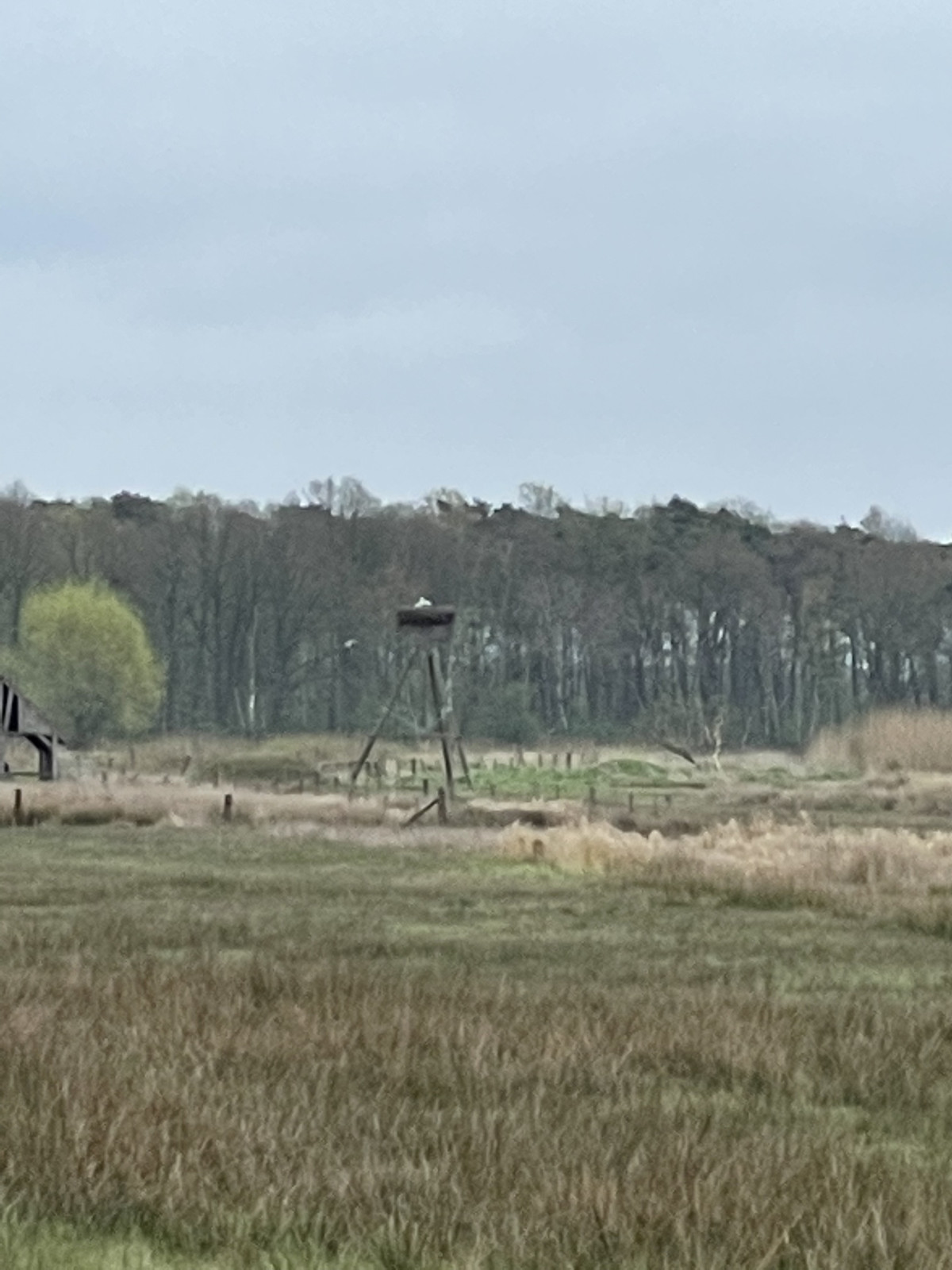 e87054ae-05ae-46c8-8e5f-92bd73cdb719