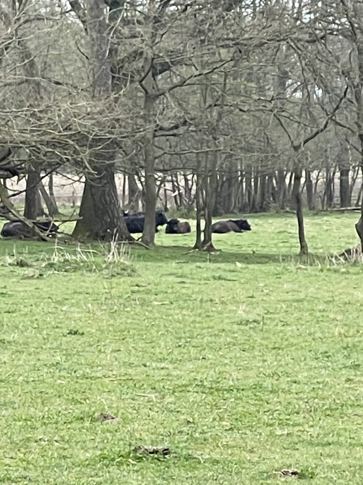 589e25d8-c770-42db-a0c4-c6d3ff17163e