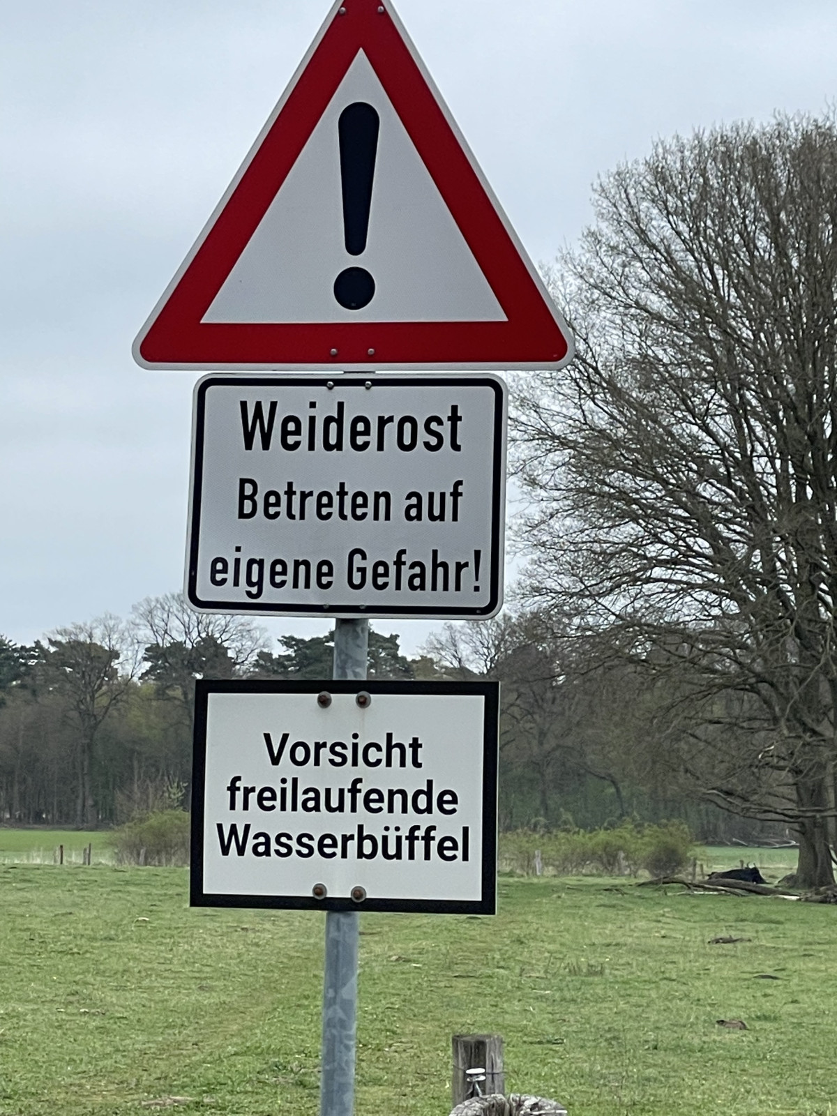 dd946ea8-9979-4f20-ba14-ce7fbdd665db