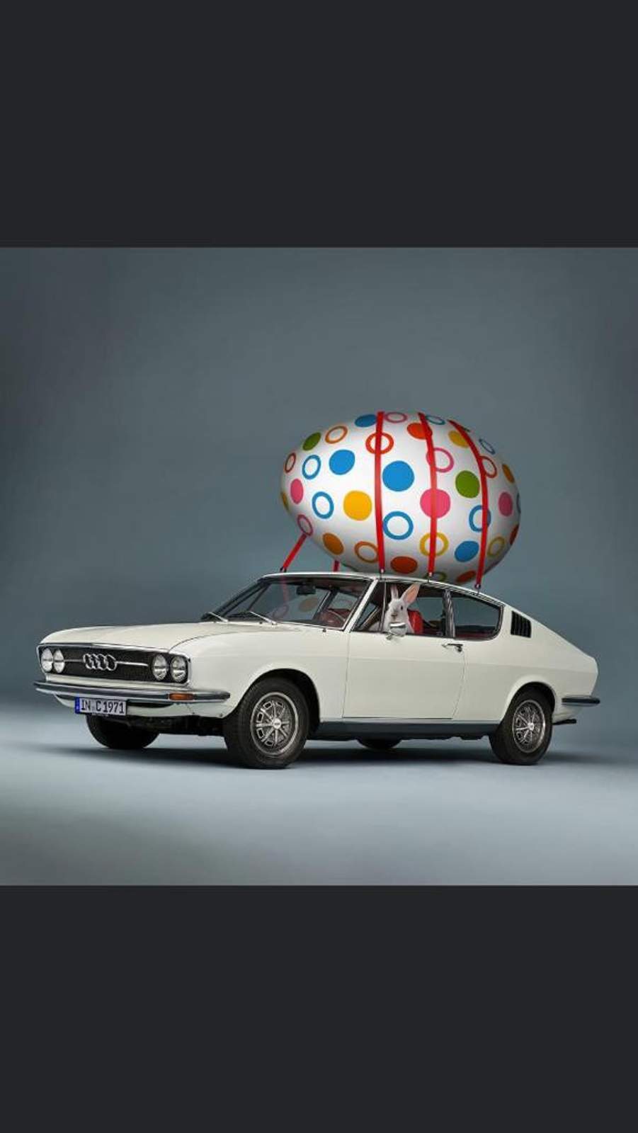 whatsapp-image-2022-04-14-at-22-28