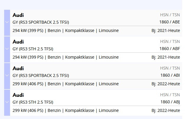 Der große Audi RS3 8Y-Thread