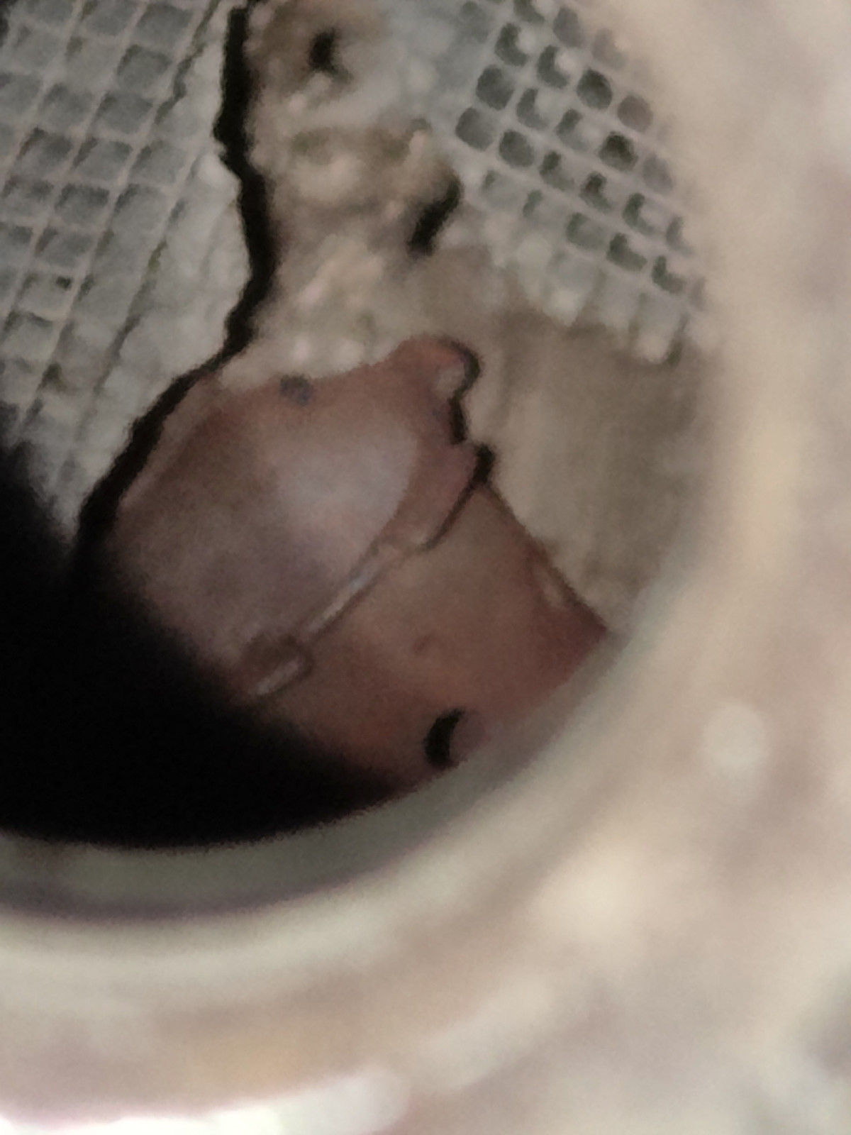 Hilfe bei Ersatzteilesuche, KAT defekt