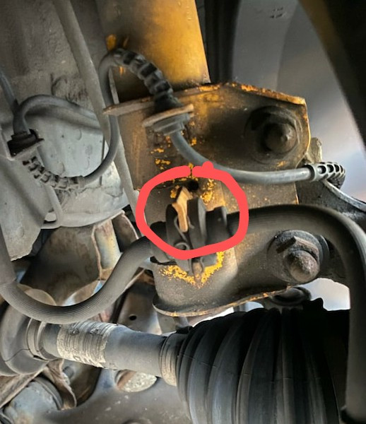 Nerviges Poltern auf der Vorderachse