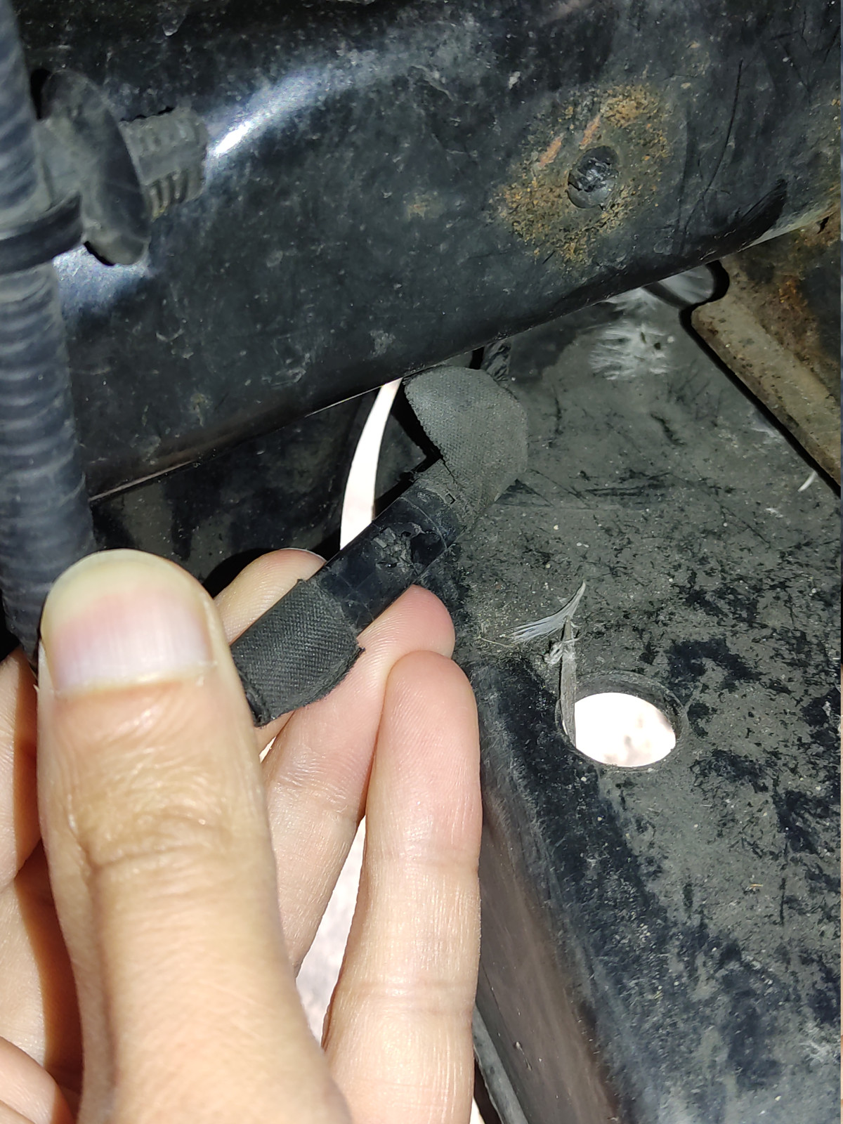 Versicherung zahlt Marderschaden nicht