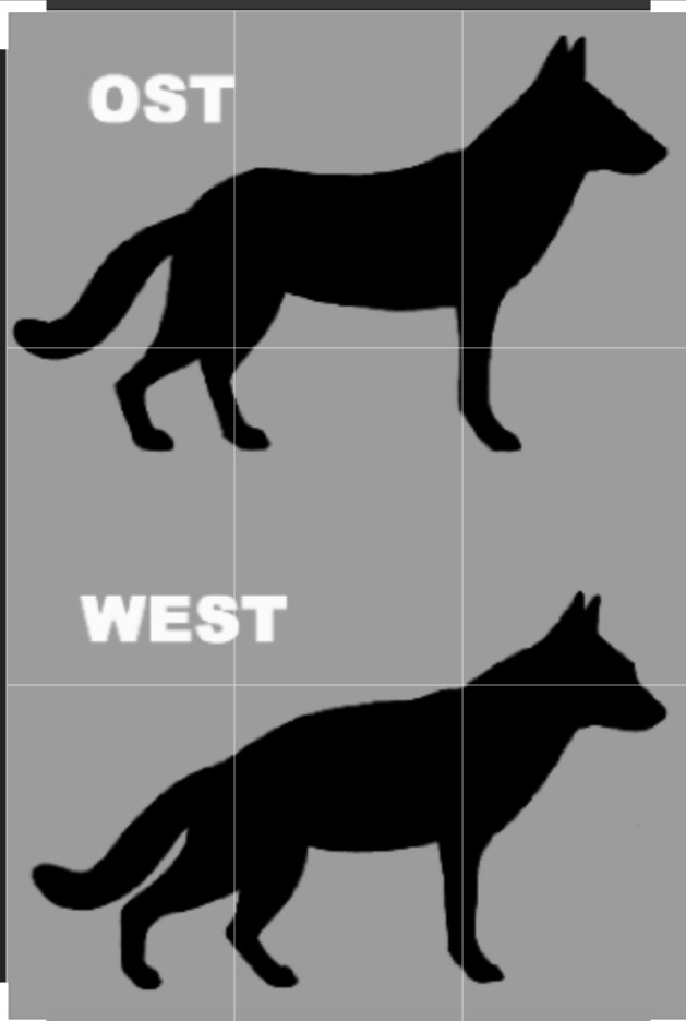 Zippos, Bikermesser, Lagerfeuer in Zeiten der E-Moppeds.