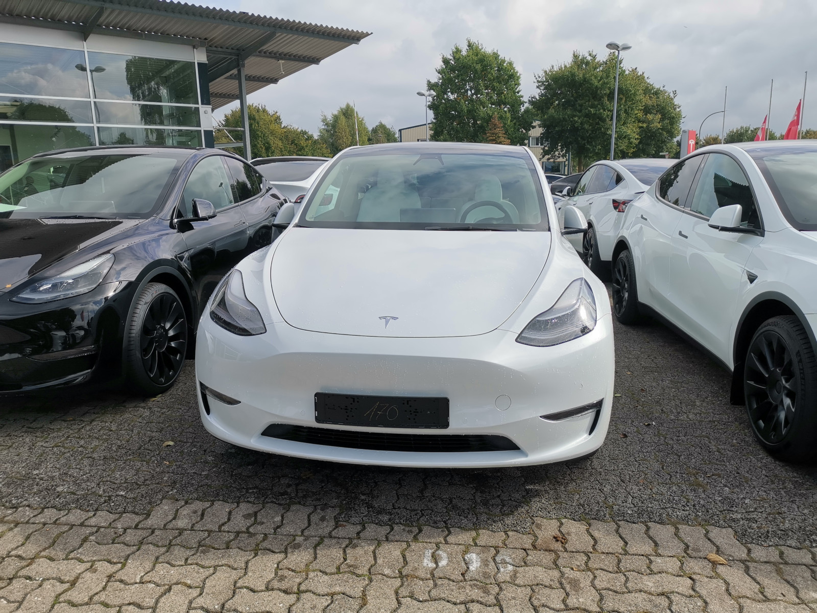 *Das Model Y Wartezimmer* - Lieferzeiten, Zulassung, etc.