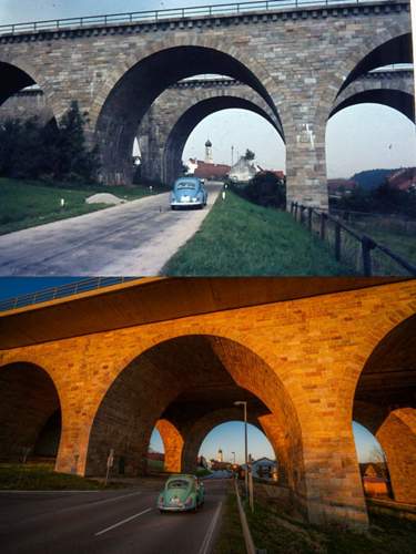 2022-kaefer-nachstellbild