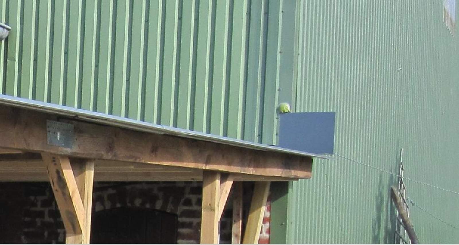 bildschirmfoto-vom-2022-10-10-18-45