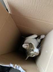 5d66fc97-a642-4fde-9b16-2bdae16f53e4